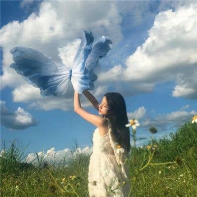 班尼的录影带